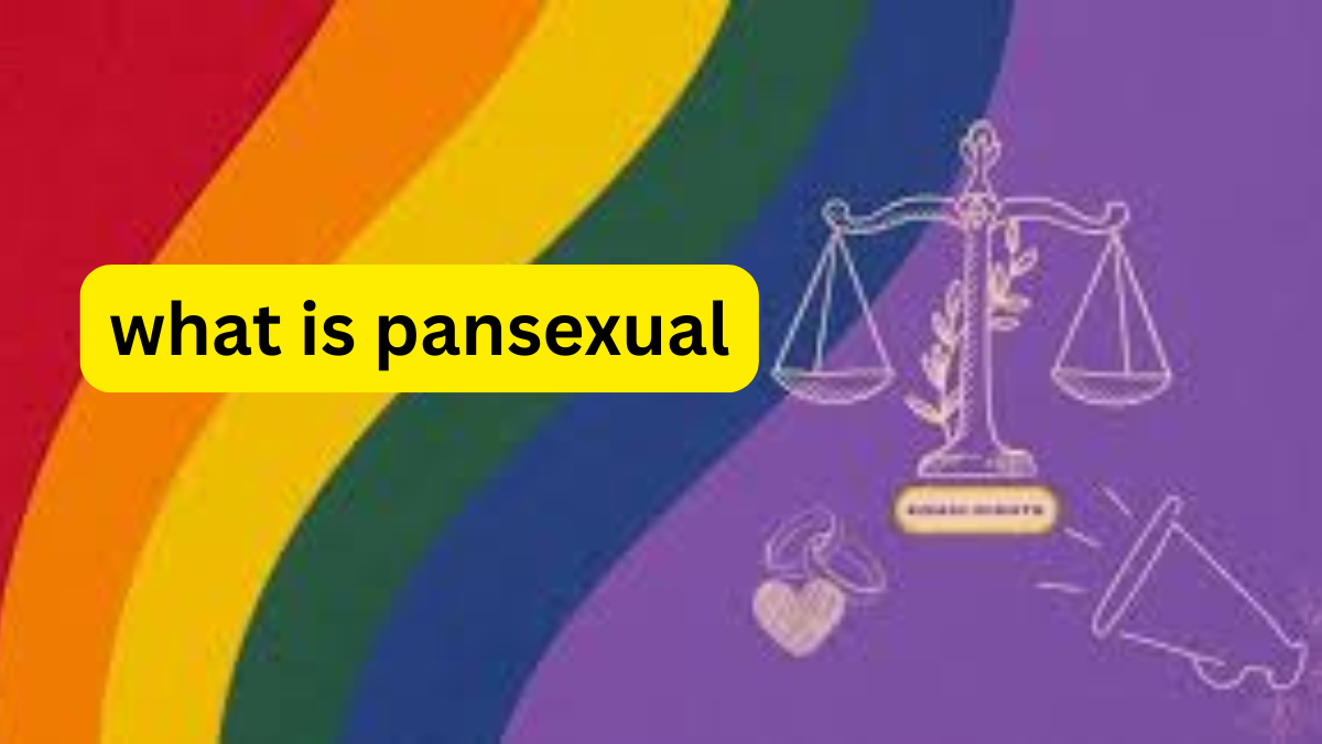 What is Pansexual Understanding Attraction Beyond Gender