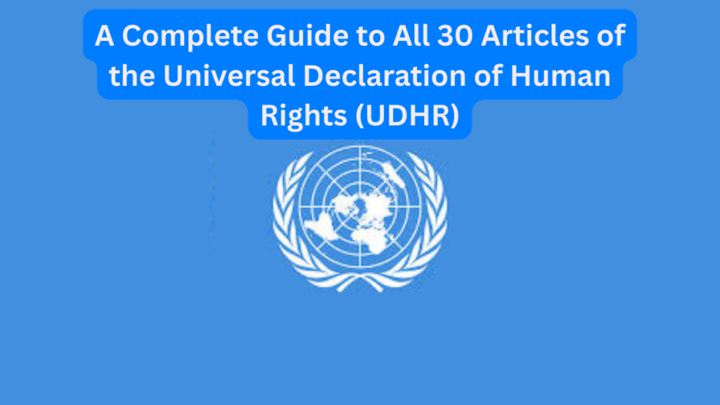 30 articles of the Universal Declaration of Human Rights (UDHR)