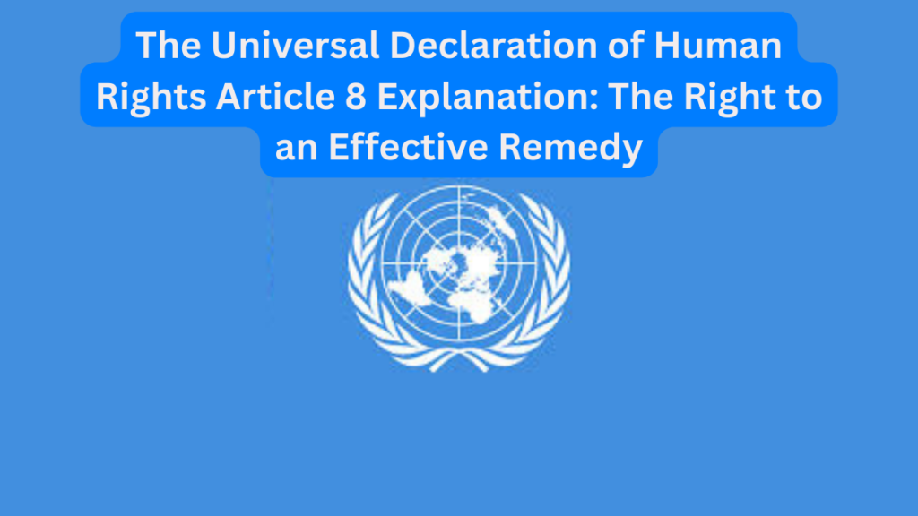 The Universal Declaration of Human Rights Article 8 Explanation
