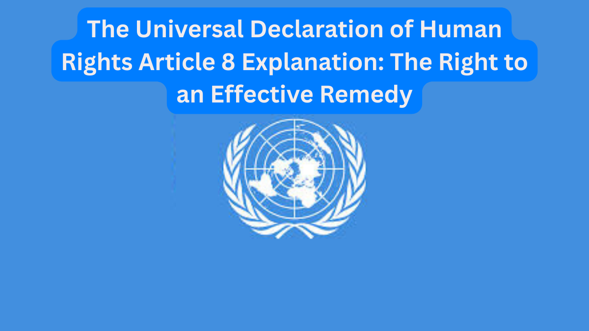 The Universal Declaration of Human Rights Article 8 Explanation