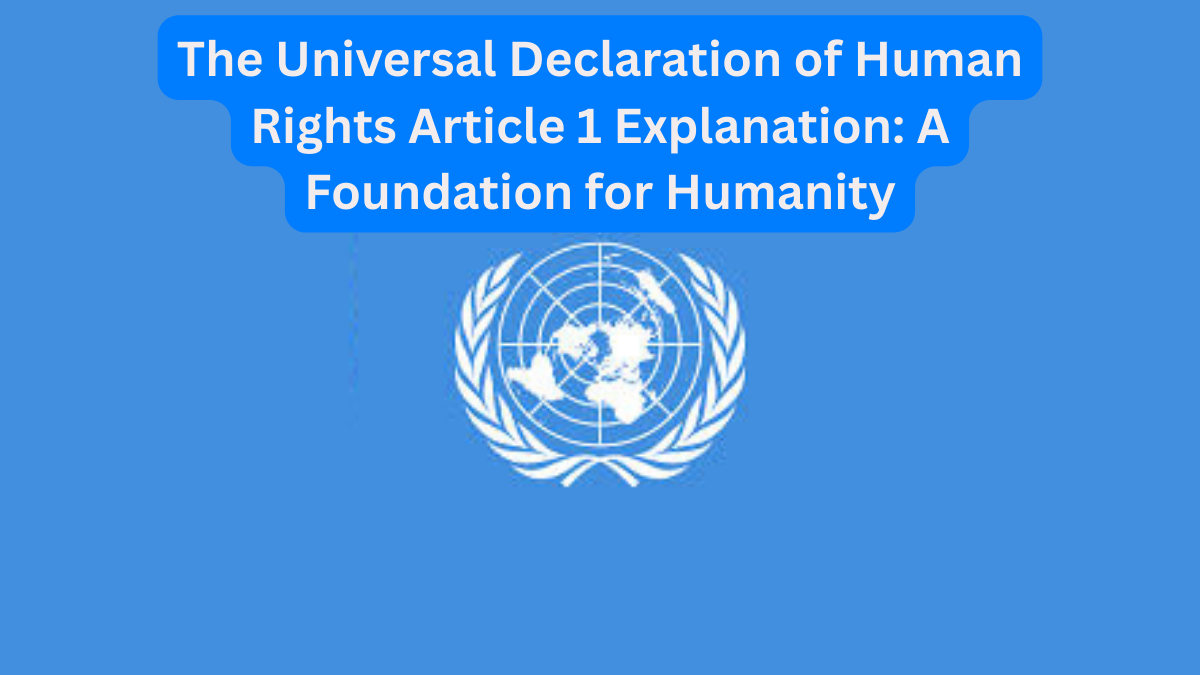 The Universal Declaration of Human Rights Article 1 Explanation A Foundation for Humanity