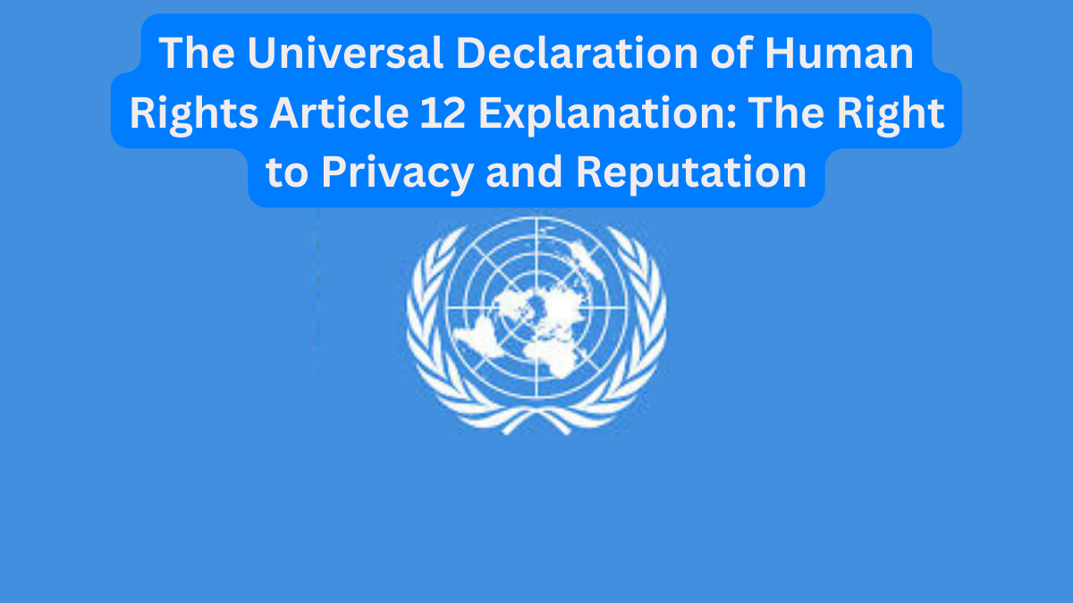 The Universal Declaration of Human Rights Article 12 Explanation
