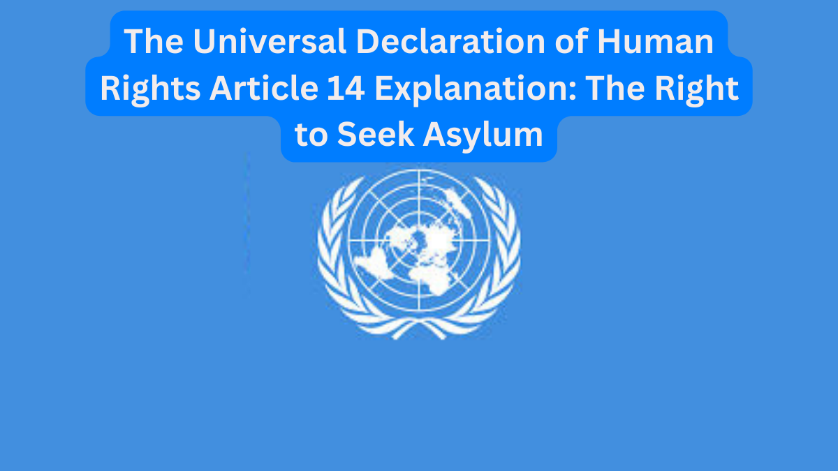 The Universal Declaration of Human Rights Article 14 Explanation