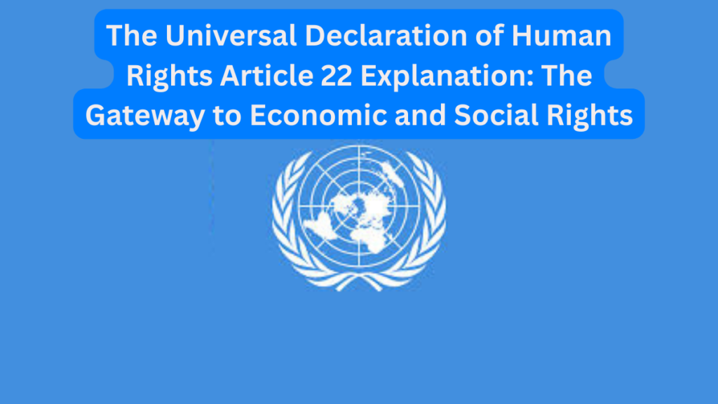 The Universal Declaration of Human Rights Article 22 Explanation