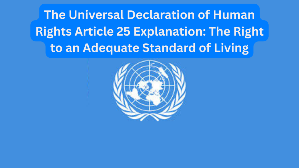 The Universal Declaration of Human Rights Article 25 Explanation