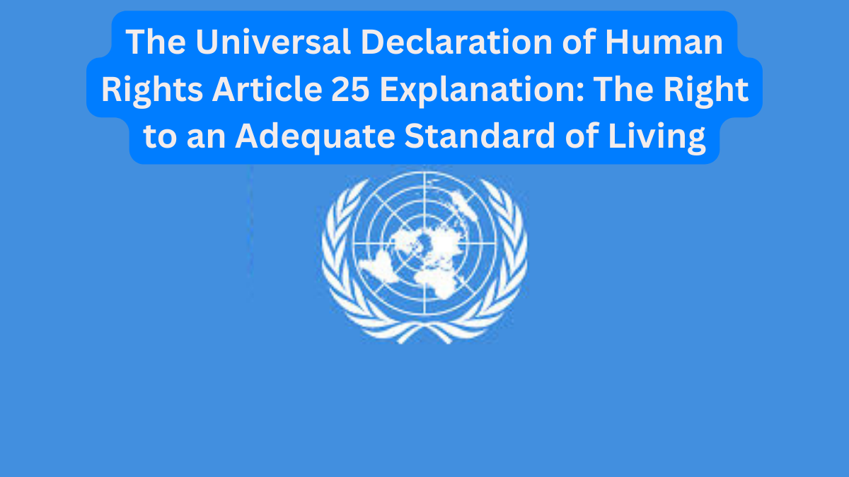 The Universal Declaration of Human Rights Article 25 Explanation