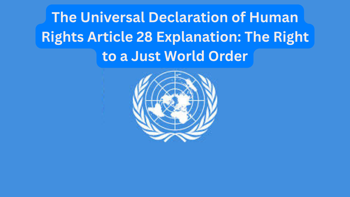 The Universal Declaration of Human Rights Article 28 Explanation