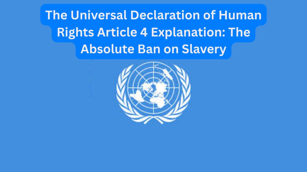 The Universal Declaration of Human Rights Article 4 Explanation