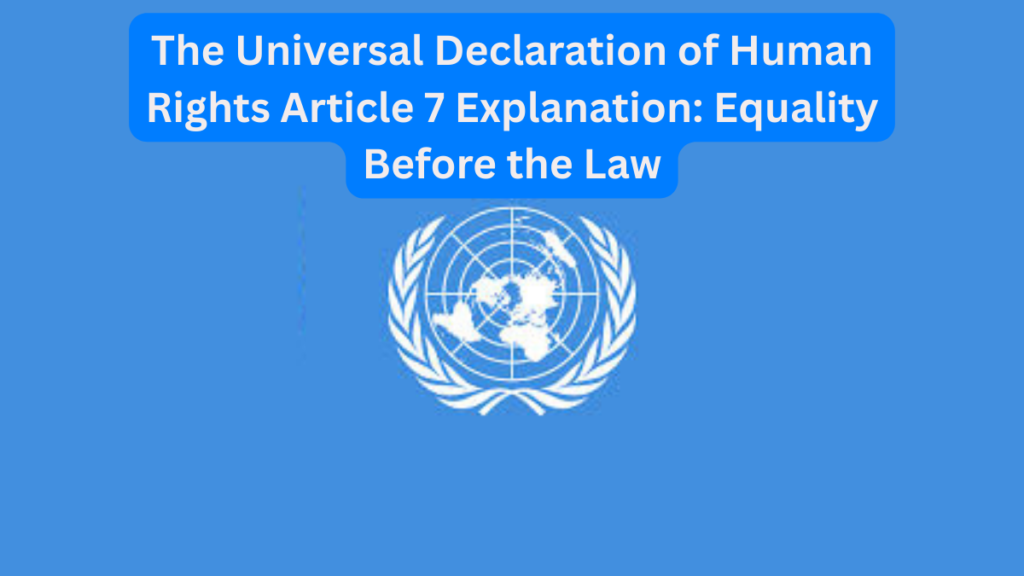 The Universal Declaration of Human Rights Article 7 Explanation
